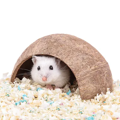 Produktbild von Versteckhaus Aus Kokosnussschalen Für Hamster, Einsiedlerkrebse, Reptilien, Igel, Meerschweinchen, Natürliche Lebensraumkäfigdekoration
