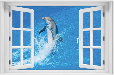Produktbild von Wallario Wandbild mit Fenster-Illusion: Fröhlicher Delfin im blauen Wasser, Größe: 61 x 91,5 cm, Poster mit weißem Aluminiumrahmen
