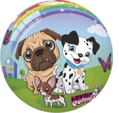 Produktbild von TEDDYS M Pejskov 23 cm