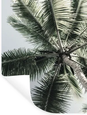 Produktbild von MuchoWow® Wandtattoo Wandsticker Wandaufkleber Palme - Tropisch - Sommer 90x120 cm Selbstklebend und Repositionierbar - Faltenfrei