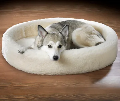 Produktbild von Schurwoll-Haustierkuhle – Natürliches Hundekörbchen & Kuschelbett für kleine Hunde und Katzen 40,0 x 50,0 cm