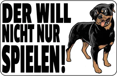 Produktbild von vianmo Holzschild 20x30 cm Hund will nicht nur spielen Tier Haustier