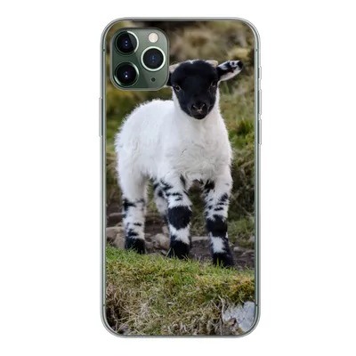 Produktbild von MuchoWow® Handyhülle Schutzhülle Hülle für iPhone 11 Pro Max Lamm - Schwarz - Weiß - Tupfen Silikon Softcase Handy Hülle - Schutz