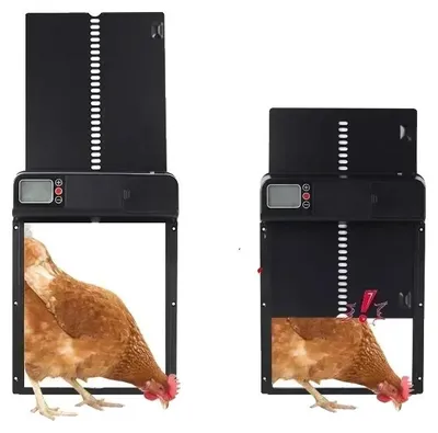 Immagine prodotto di Porta automatica per pollaio, materiale resistente, facile da installare, ecologica