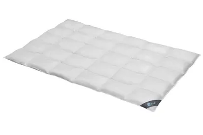 Produktbild von Daunendecke 240x220 cm 60 % Daunen   Bettdecke Steppdecke Daunen SPESSARTTRAUM BLUE