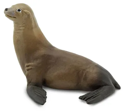 Produktbild von Safari Ltd Sea Lion Figur Braun From 3 Years Braun From 3 Years