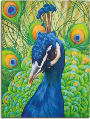 Produktbild von ARTland Leinwandbild Pfau Größe: 30x40 cm