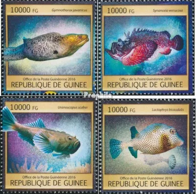 Produktbild von Briefmarken Guinea 2016 Mi 11791-11794 (kompl. Ausgabe) postfrisch Rifffische