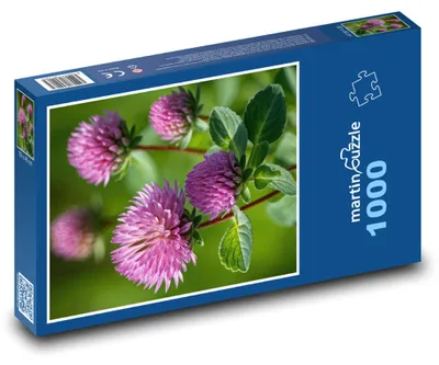 Produktbild von Puzzle 1000 Kleeblüten auf der Wiese - martinpuzzle