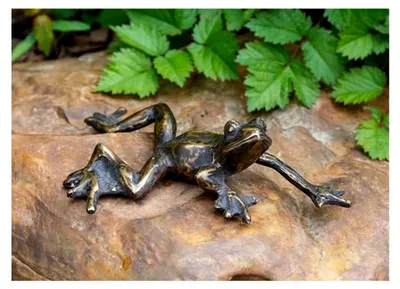 Produktbild von Liegende Frosch-Skulptur aus Bronze