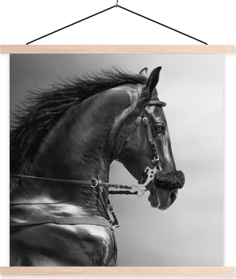Produktbild von MuchoWow® Textilposter Pferde - Schwarz - Porträt - Tiere 40x40 cm mit holzfarbenen Rahmen - Posterleiste