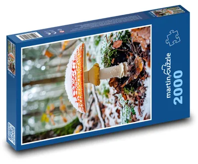 Produktbild von martinpuzzle - Puzzle 2000 Teile - Krötenschemel im Winter