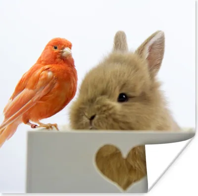 Produktbild von MuchoWow® Poster Tiere - Kaninchen - Vogel 100x100 cm - Babyzimmer