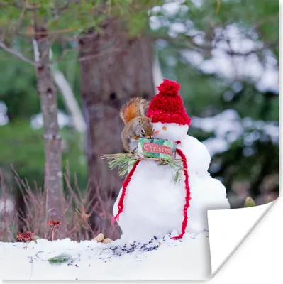 Produktbild von MuchoWow® Poster Eichhörnchen - Schneemann - Winter 100x100 cm - Babyzimmer
