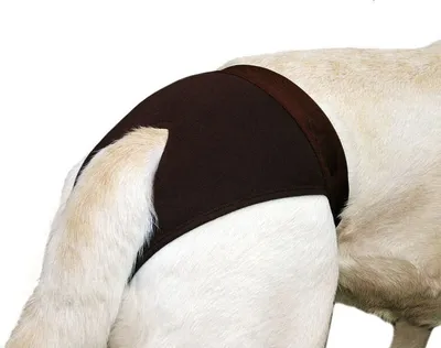 Produktbild von Karlie Hundehöschen Luvly 30 - 38 cm schwarz