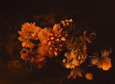 Produktbild von Antik Tapete mit Blumen | Orange Fototapete Blumen schwarzer Hintergrund ideal für Wohnzimmer und Esszimmer | Neobarock