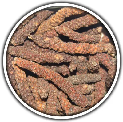 Produktbild von Roter Langer Pfeffer 70g Dose