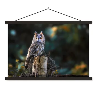 Produktbild von MuchoWow® Textilposter Eule - Herbst - Vogel - Äste 60x40 cm mit schwarzem Rahmen - Hölzernes