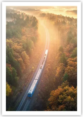 Produktbild von Poster - Poster ohne Rahmen - Bahn Herbst So - 70x100 cm - Wand Bild - Wanddeko - Wandbilder - Kunstposter - Wandposter - Bilder - Kunstdruck - Wanddekoration - Wandbild - P2XPA70x100-4632