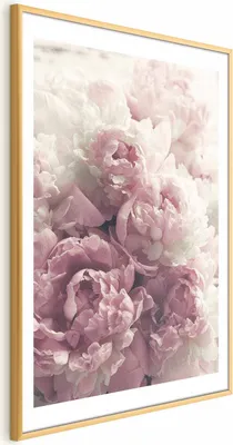 Produktbild von Posterpapier Poster - Delicate Peonies 40x60 cm Blumen b-B-0467-ao-a