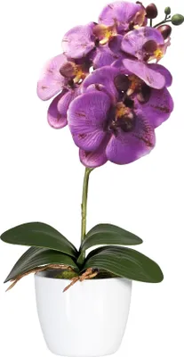 Produktbild von Kunstorchidee Phalaenopsis 40 cm in Lila - Pflegeleichte Deko für Zuhause und Büro