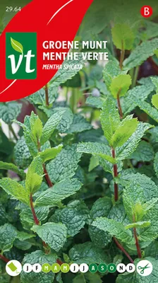 Immagine prodotto di Semi di Mentha spicata - Circa 0,2 gr | VT_2964