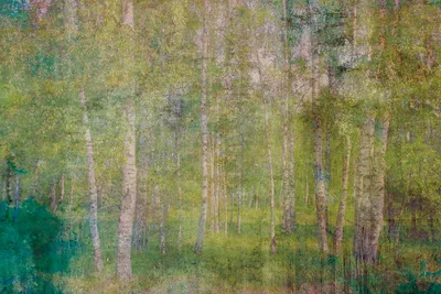 Produktbild von Fototapete - Leaves Abstract 375x250cm - Vliestapete