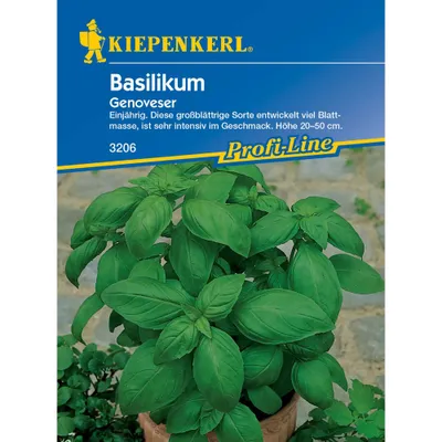 Produktbild von Kiepenkerl Profi-Line Basilikumsamen Genoveser