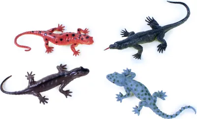Obrázok produktu pre The Lizards 4 ks v balení