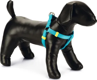 Produktbild von Beeztees Uni - Hundegeschirr - Nylon - Hellblau - 26-40 cm x 10 mm