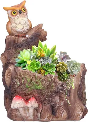 Image de Petit pot pour plante succulente imperméable