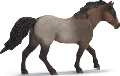 Produktbild von schleich Quarter Horse, 3 Jahr(e), Braun, Kunststoff