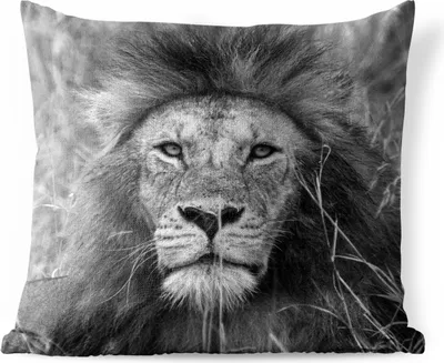 Produktbild von MuchoWow® Outdoor Kissen - Löwe - Porträt - Tiere - 40x40 cm - Wetterfest - Lounge Kissen - Kopfkissen - Interieur - Polster mit Bild