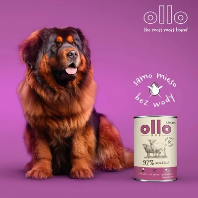 Zdjęcie produktu dla Karma dla psa Ollo Umami Jagnięcina i Wołowina 850g
