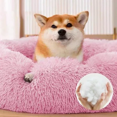 Produktbild von Famanu Hunde-Bett – Hochwertiges Hundekissen