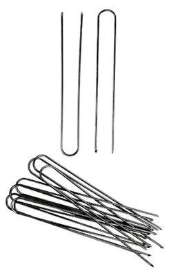 Produktbild von Efeunadeln, 2,5kg, 10mm Breite, 100mm Länge
