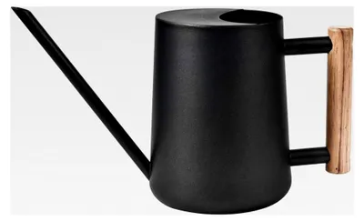 Produktbild von Gießkanne Klein 1L Edelstahl für Innen- und Außenbereich mit langem Auslauf zur Bewässerung von Zimmerpflanzen, Bonsai, Sukkulenten und Blumen