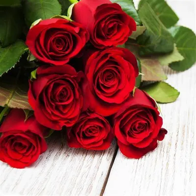 Produktbild von 20 Servietten Red Rose - Rote Eleganz 33x33cm