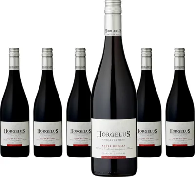 Produktbild von 6 x Horgelus Côtes de Gascogne Tannat - Merlot