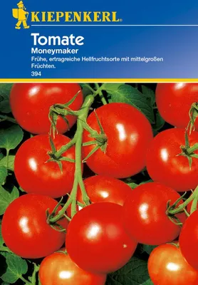 Produktbild von Kiepenkerl 394 Salat Tomate Moneymaker