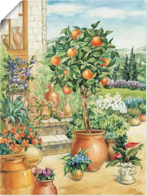 Produktbild von ARTland Poster Orangenbaum im Garten Größe: 45x60 cm