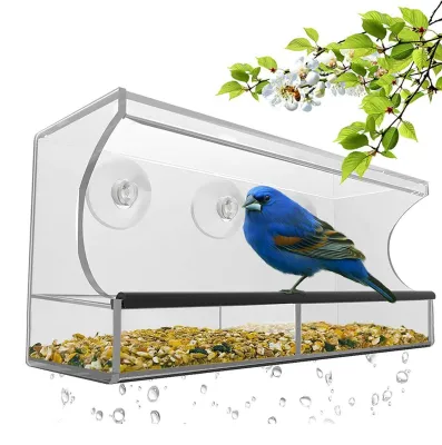 Image de Distributeur de graines pour oiseaux transparent, avec ventouses