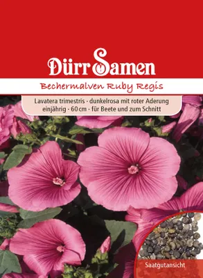 Produktbild von Bechermalve Ruby Regis | Bechermalvensamen von Dürr Samen