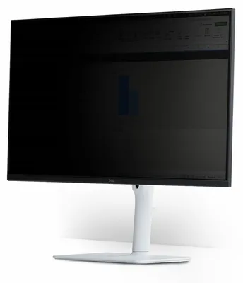 Produktbild von StarTech.com StarTech - Blickschutzfilter für Bildschirme - abnehmbar - magnetisch - 61 cm Breitbild (Breitbild mit 24 Zoll)