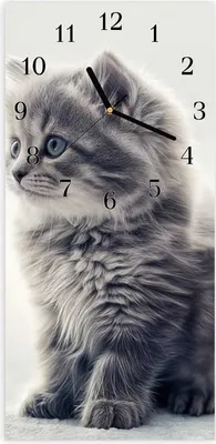 Produktbild von Wanduhr aus Glas mit Motiv Kitten Portrait- 30 x 60 cm - inkl. Aufhängesystem