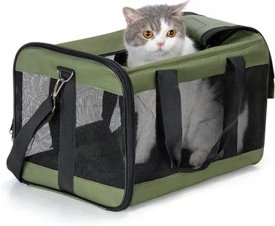 Produktbild von Famanu Transportbox für Hunde und Katzen - Faltbar, Flugzeugtauglich, Reisefreundlich (M)