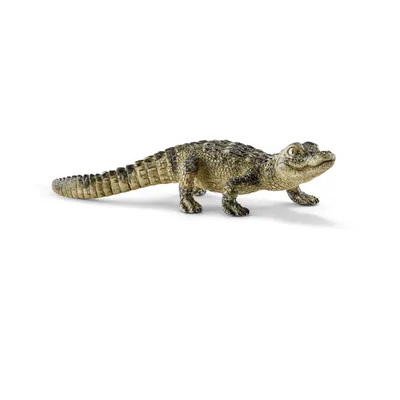 Produktbild von schleich WILD LIFE Alligator Junges, 3 Jahr(e), Mehrfarbig, Kunststoff, 1 Stück(e)