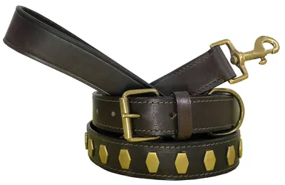 Produktbild von Solidchoice – Robustes Hundehalsband und Leine-Set für große Hunde