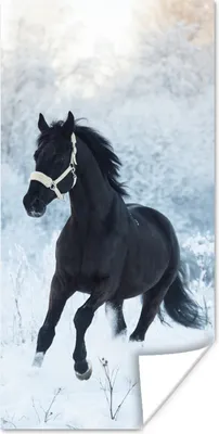 Produktbild von MuchoWow® Poster Pferd - Schnee - Wald 20x40 cm - Plakat - Foto