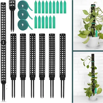 Image de Kit de supports modulaires pour plantes grimpantes – stable, durable et idéal pour les Monstera, Philodendron et autres plantes similaires., Image générée par une IA